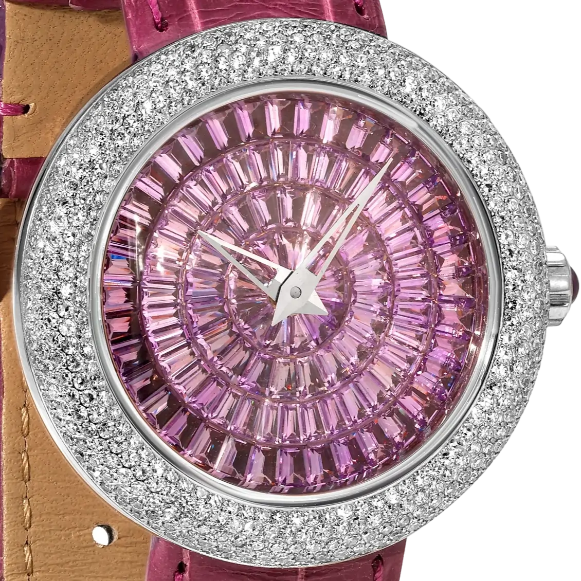 Watch case detail